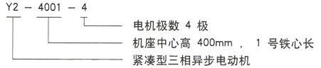 Y2系列三相异步电机技术参数——开云官方端网站登录入口（开云app）官方网站
