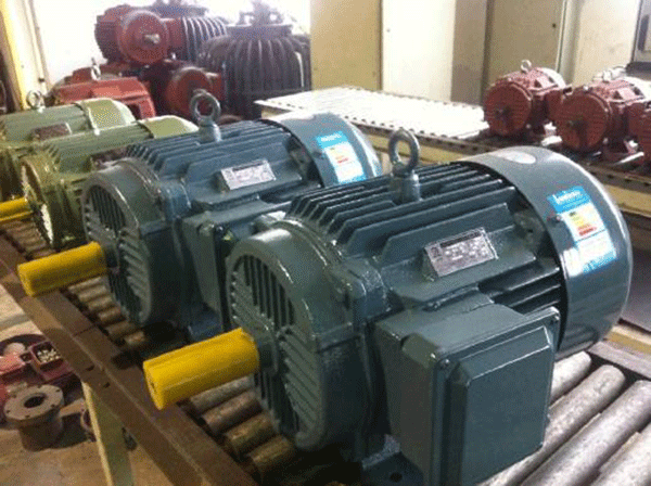 特种电机：并购整合将成常态——开云官方端网站登录入口（开云app）官方网站