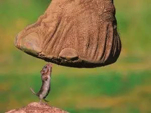 电机烧毁原因及案例解析——开云官方端网站登录入口（开云app）官方网站