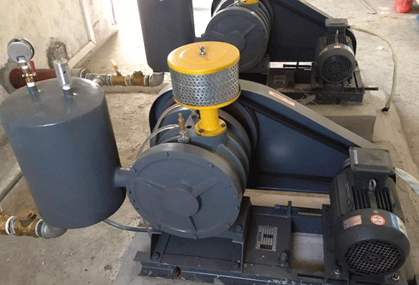 鼓风机电机为什么容易断轴——开云官方端网站登录入口（开云app）官方网站