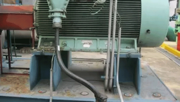 电机接地保护不容忽视的细节——开云官方端网站登录入口（开云app）官方网站