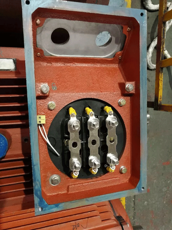 电机接地保护不容忽视的细节——开云官方端网站登录入口（开云app）官方网站