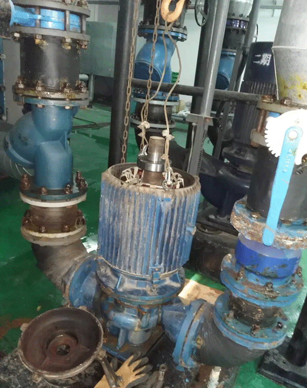 电机如何适应变频起动新技术——开云官方端网站登录入口（开云app）官方网站