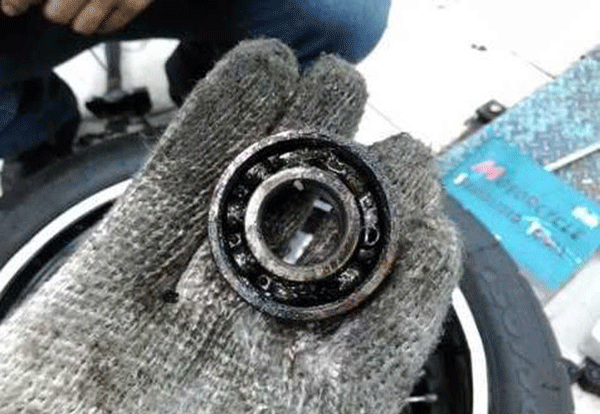 某发电厂高压电机轴承烧毁案例分析