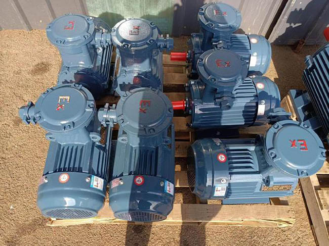 图为西安西玛YE系列交流电机照片