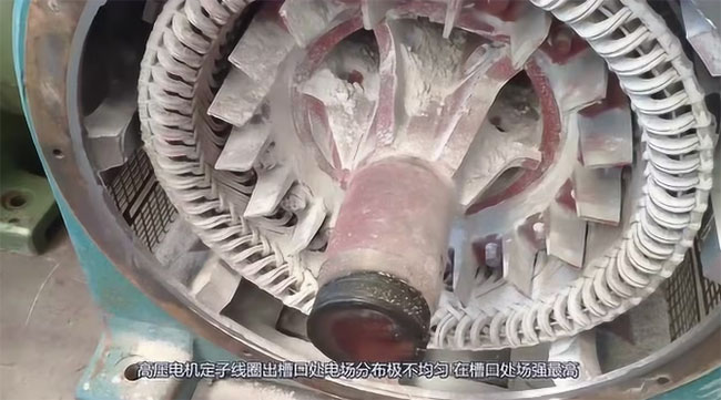 图为高压电机定子线圈出槽口处电场分布照片