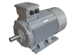 Y2系列紧凑型高压异步电机——开云官方端网站登录入口（开云app）