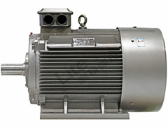 YE5系列超高效三相异步电动机——开云官方端网站登录入口（开云app）